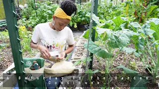 After The Plan Planting | Planting Out Extra Spaces | Saturday Gardening (Part 2) |