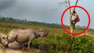 10 Unfortunate Wild Animal Encounters Caught on Camera