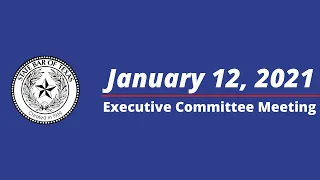 Executive Committee Meeting - 01/12/21