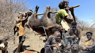 See How Hadzabe Survive by Hunting their food