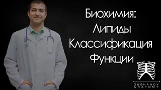 Липиды. Классификация липидов.