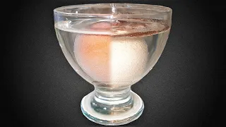 What happens to an egg in vinegar for 24 hours - Time Lapse [April fools' joke]