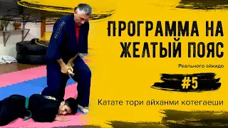 Система самообороны Реального Айкидо. Программа на желтый пояс #5