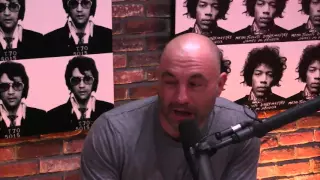 Joe Rogan explains Lil B and the definition of "Based"