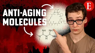 The Promise of Two Anti-Aging Molecules [10 Studies]