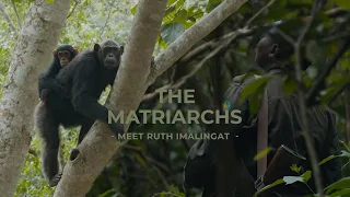 Meet Ruth: a Ugandan Guide Working with Chimpanzees