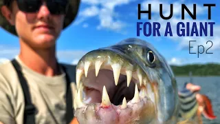 Our Live-Baits Got Chomped! -Hunt For a Giant Tiger Fish Episode 2