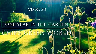 Gardening year, Courtyard tour, Gardener tips ideas Chips Green World #gardeningtips #gardentour