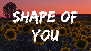 Ed Sheeran - Shape of You (Lyrics Video) || Ruth B, ZAYN, Sia,... (Mix)