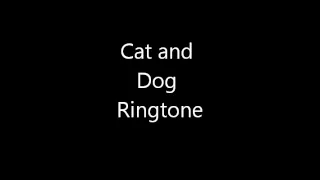 Funny Ringtone Cat and Dog Ringtone (Download)