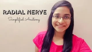 RADIAL NERVE | ANATOMY | SIMPLIFIED