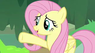 My little pony - 7 сезон 20 серия. Полезная информация.