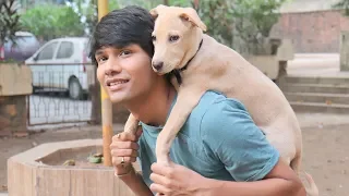 DOG SHORT FILM | SUPER SECRET POCKET | LABRADOR PUPPY || MOHAK MEET