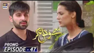 Mujhy Vida kar Episode 47 [ subtital Eng ] ARY Digital Darama