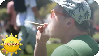 Kiffen für alle? Pros und Contras zur Cannabislegalisierung | SAT.1 Frühstücksfernsehen