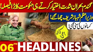 As Wheat Crisis Intensified | Government's Big Decision! | Lahore News Headlines 06 PM | 04 May 2024