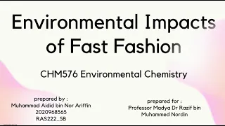 CHM576 individual assignment - Environmental Impacts of Fast Fashion Industry