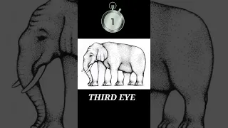 🔴OPTICAL ILLUSION FOR ELEPHANT𓃰 # THIRD EYE👁️