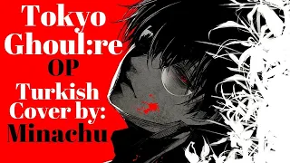 Tokyo Ghoul:re - Katharsis (Turkish Cover by Minachu)