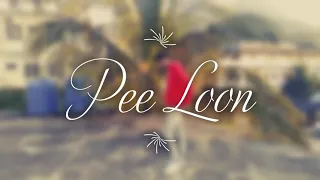 PEE LOON DANCE COVER - KISHORE KUMAR | HIMANSHU DULANI X MOHIT SOLANKI CHOREOGRAPHY