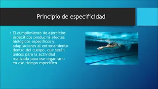 PRINCIPIOS DEL ENTRENAMIENTO