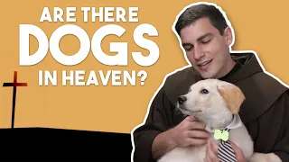 Did Christ Die for Dogs?