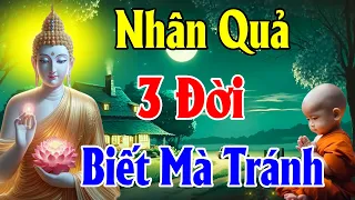 Nhân Quả 3 Đời Đừng Đợi Thấy Mới Tin (Nên nghe) - Thiện Duyên Phật Pháp