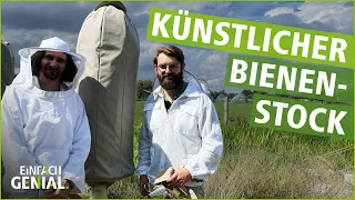 Künstliche Baumhöhlen statt konventioneller Bienenstöcke | Einfach Genial | MDR