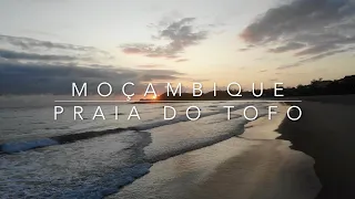 Mozambique - Tofo beach - Liquid Dive Adventures