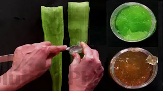 How to Make Aloe Vera Gel For Pharmacy & Cosmetic Practical Only (ENGLISH) By Solution Pharmacy