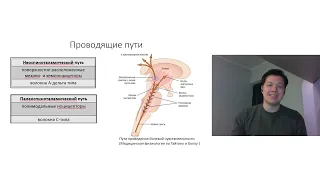 Коротко: Клиническая физиология боли