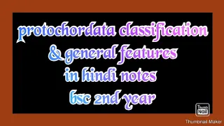 protochordata classification & general features in hindi notes