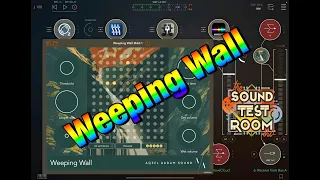 Weeping Wall - A Zen Garden Of Sound - Beautiful Ambient Looper - Tutorial & Demo for the iPad