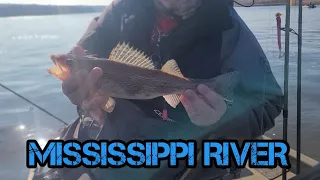 Late Winter Walleye and Sauger Fishing!! (Mississippi River)