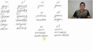 A1 60 Plural in Russian (Lesson 6) Exceptional Cases 1 Russian Grammar