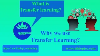 ሰው ሰራሽ አስተውሎት (AI) ክፍል 7፡ Transfer learning.