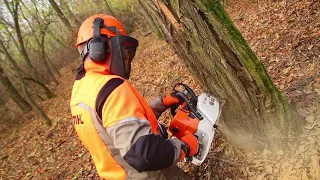 Видеообзор пилы STIHL MS 361