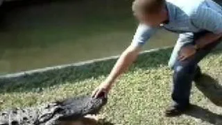 Crocodile eats mans hand!