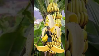 Yellow Banana 🍌  #fruit #splitfruit #shorts #trend #vir al #shortvideo #trendingshorts #banana