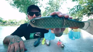 best swimbaits for beginners