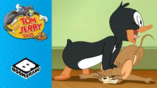Tom & Jerry | Penguin in the House | Boomerang UK