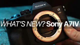 Sony A7IV: What's NEW and is it WORTH IT?