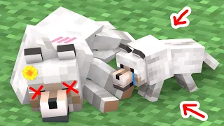 Monster School : Baby Wolf Lost His Mother - Minecraft Animation