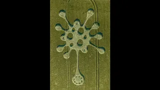 New crop circle Wiltshire UK  coronavírus Agrogramas 2020 Kornkreise England.