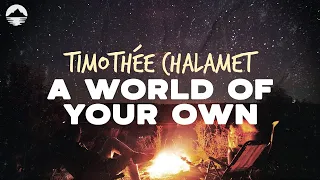 Timothée Chalamet - A World of Your Own | Lyrics