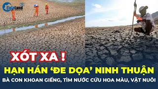 Hạn hán ''ĐE DỌA'' Ninh Thuận, bà con KHOAN GIẾNG, TÌM NƯỚC cứu hoa màu, vật nuôi | CafeLand