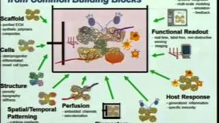 Demystifying Medicine 2014 - Drug-Induced Liver Injury: Who, What, When and How