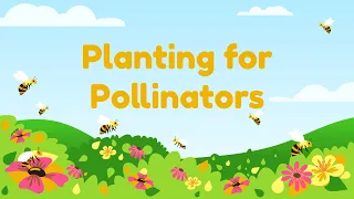 Native Gardening | Planting for Pollinators