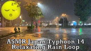 Japan Typhoon 14 Rain Loop for Relaxation 2021.09.18 ASMR Ambient Sound Sleep Meditate Tokyo Suburb