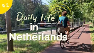 the daily dutch uni life as art student / art school vlog